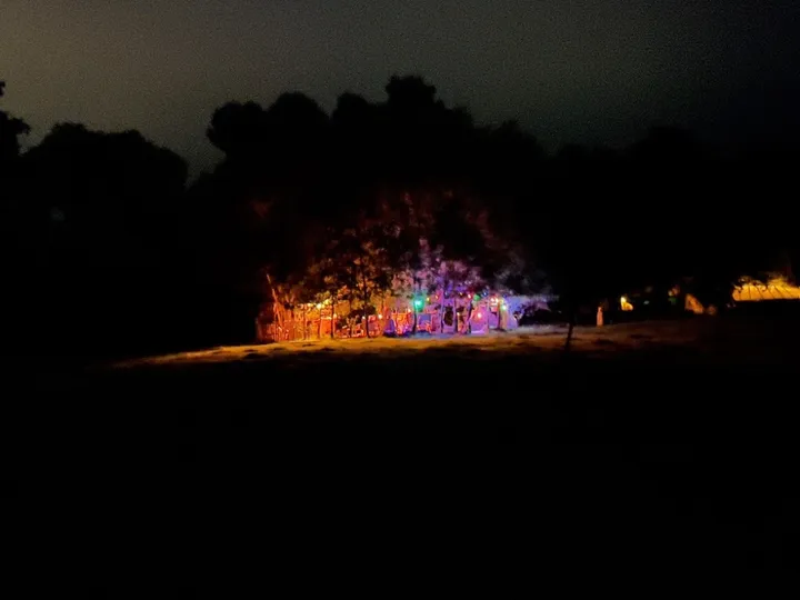 Beleuchteter Weidenkreis bei Nacht